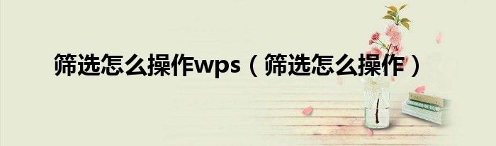 筛选怎么操作wps（筛选怎么操作）