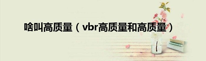 啥叫高质量（vbr高质量和高质量）