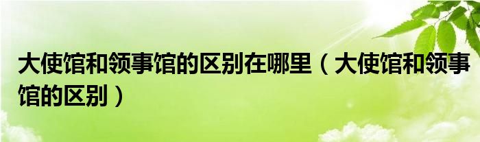 大使馆和领事馆的区别在哪里（大使馆和领事馆的区别）