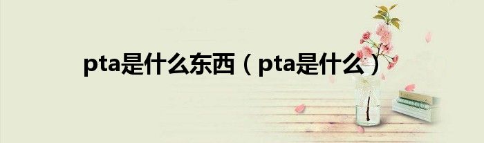 pta是什么东西（pta是什么）