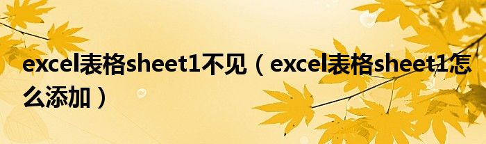 excel表格sheet1不见（excel表格sheet1怎么添加）