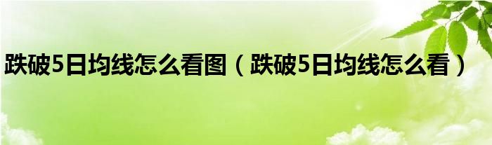 跌破5日均线怎么看图（跌破5日均线怎么看）