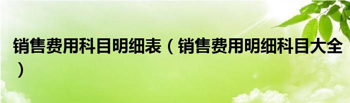 销售费用科目明细表（销售费用明细科目大全）