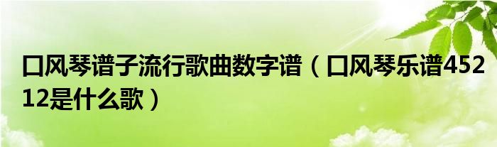 口风琴谱子流行歌曲数字谱（口风琴乐谱45212是什么歌）