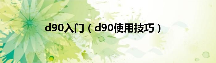 d90入门（d90使用技巧）