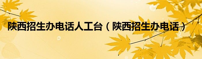 陕西招生办电话人工台（陕西招生办电话）