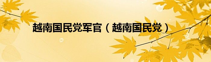 越南国民党军官（越南国民党）