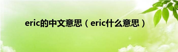 eric的中文意思（eric什么意思）