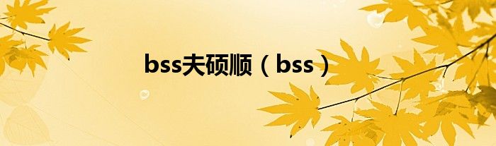 bss夫硕顺（bss）