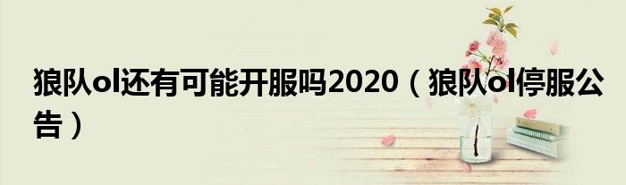 狼队ol还有可能开服吗2020（狼队ol停服公告）