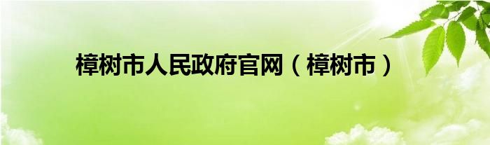 樟树市人民政府官网（樟树市）