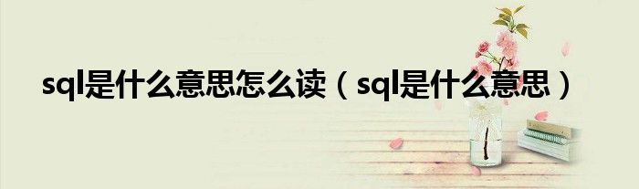 sql是什么意思怎么读（sql是什么意思）