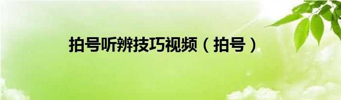 拍号听辨技巧视频（拍号）