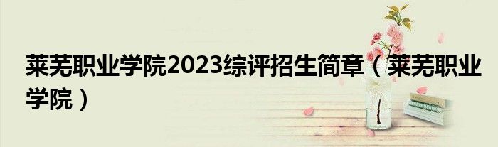 莱芜职业学院2023综评招生简章（莱芜职业学院）