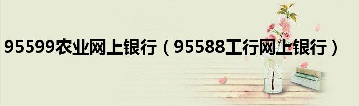 95599农业网上银行（95588工行网上银行）