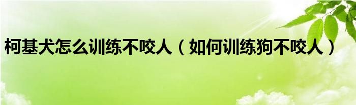 柯基犬怎么训练不咬人（如何训练狗不咬人）