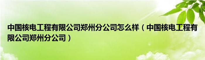 中国核电工程有限公司郑州分公司怎么样（中国核电工程有限公司郑州分公司）