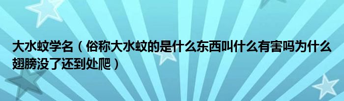 大水蚊学名（俗称大水蚊的是什么东西叫什么有害吗为什么翅膀没了还到处爬）