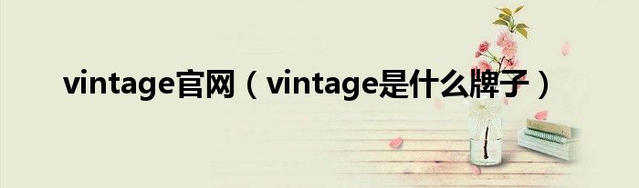 vintage官网（vintage是什么牌子）