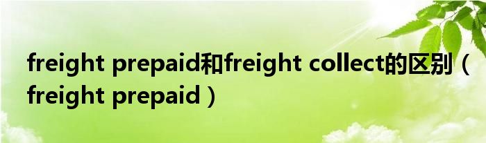 freight prepaid和freight collect的区别（freight prepaid）