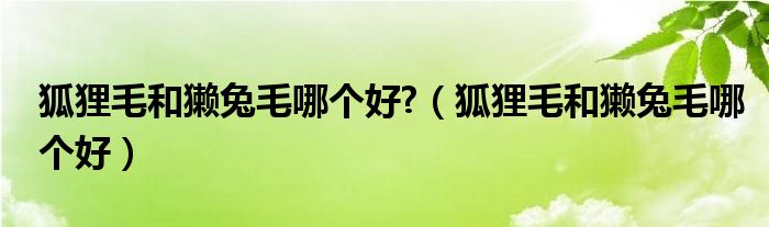 狐狸毛和獭兔毛哪个好?（狐狸毛和獭兔毛哪个好）