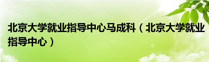 北京大学就业指导中心马成科（北京大学就业指导中心）