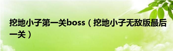 挖地小子第一关boss（挖地小子无敌版最后一关）