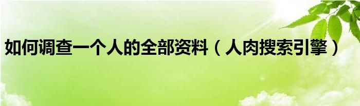 如何调查一个人的全部资料（人肉搜索引擎）