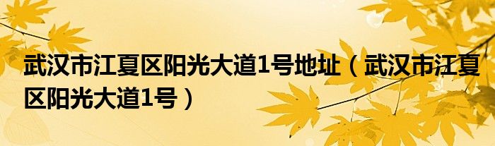 武汉市江夏区阳光大道1号地址（武汉市江夏区阳光大道1号）