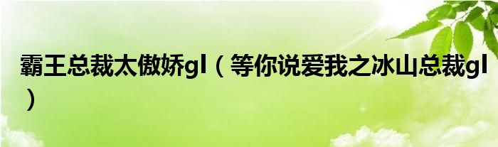 霸王总裁太傲娇gl（等你说爱我之冰山总裁gl）