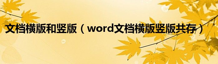 文档横版和竖版（word文档横版竖版共存）