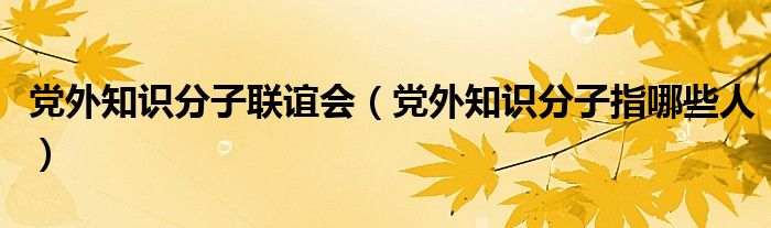 党外知识分子联谊会（党外知识分子指哪些人）