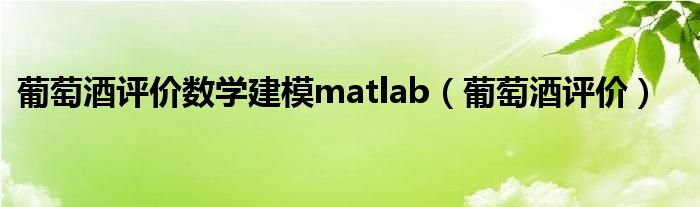 葡萄酒评价数学建模matlab（葡萄酒评价）