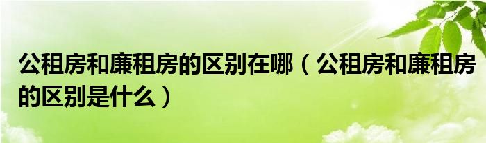 公租房和廉租房的区别在哪（公租房和廉租房的区别是什么）