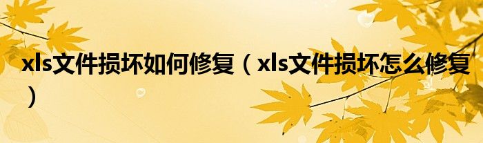 xls文件损坏如何修复（xls文件损坏怎么修复）