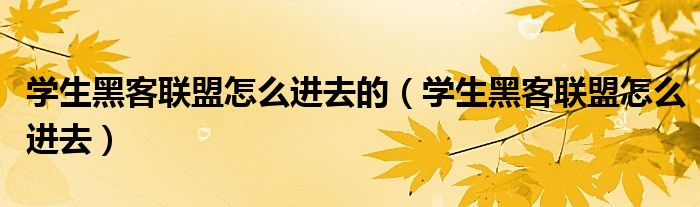 学生黑客联盟怎么进去的（学生黑客联盟怎么进去）