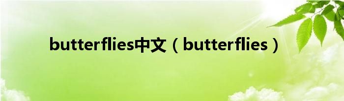 butterflies中文（butterflies）