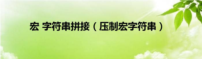 宏 字符串拼接（压制宏字符串）