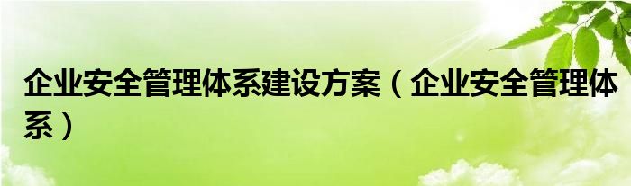 企业安全管理体系建设方案（企业安全管理体系）