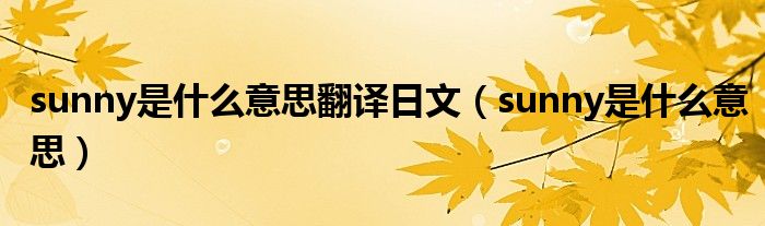 sunny是什么意思翻译日文（sunny是什么意思）