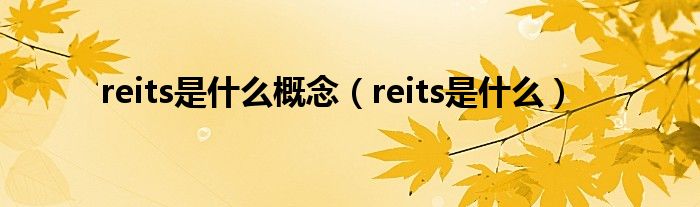 reits是什么概念（reits是什么）