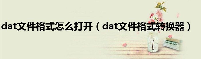 dat文件格式怎么打开（dat文件格式转换器）