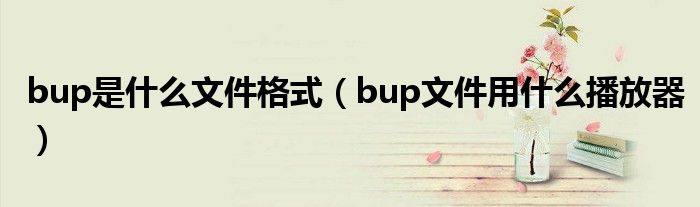 bup是什么文件格式（bup文件用什么播放器）