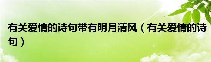 有关爱情的诗句带有明月清风（有关爱情的诗句）