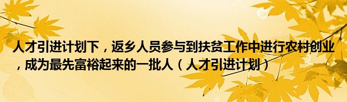 人才引进计划下，返乡人员参与到扶贫工作中进行农村创业，成为最先富裕起来的一批人（人才引进计划）