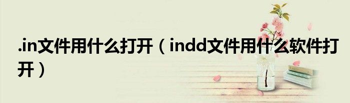 .in文件用什么打开（indd文件用什么软件打开）