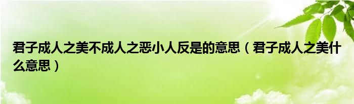 君子成人之美不成人之恶小人反是的意思（君子成人之美什么意思）