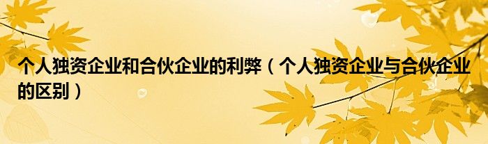 个人独资企业和合伙企业的利弊（个人独资企业与合伙企业的区别）