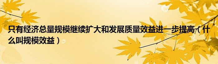 只有经济总量规模继续扩大和发展质量效益进一步提高（什么叫规模效益）