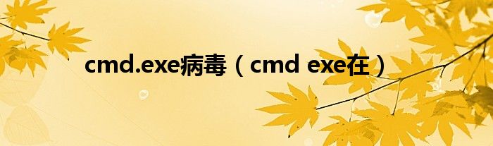 cmd.exe病毒（cmd exe在）